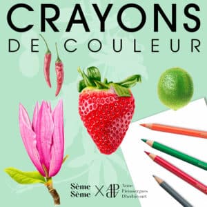 Cours illustration botanique crayons de couleur
