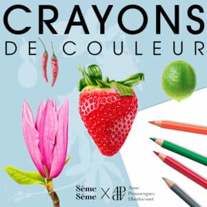 Stage d'Illustration botanique aux crayons de couleur-Dimanche 11 avril 2027