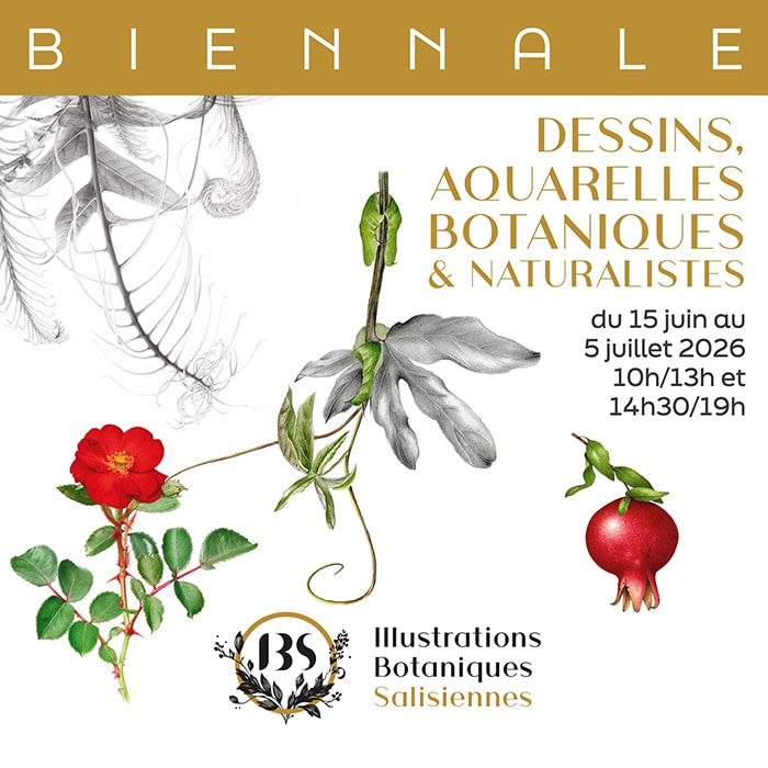 Biennale IBS exposition illustration botanique et naturaliste